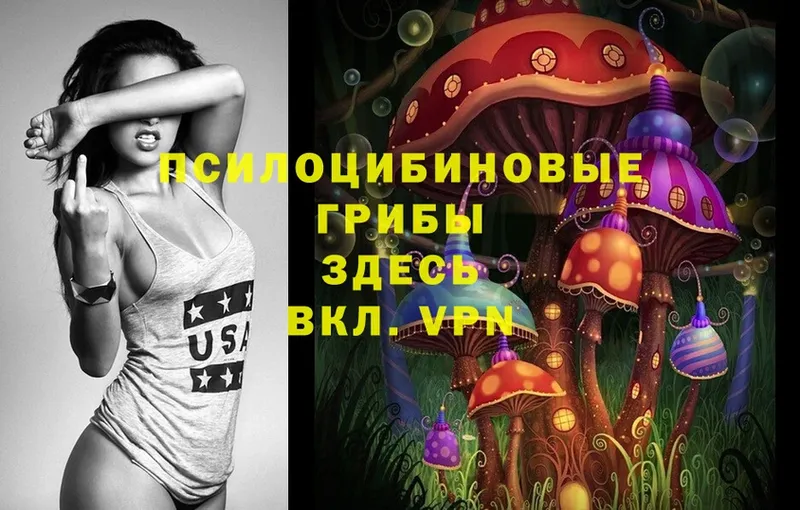 Галлюциногенные грибы Psilocybe  дарнет шоп  Константиновск 